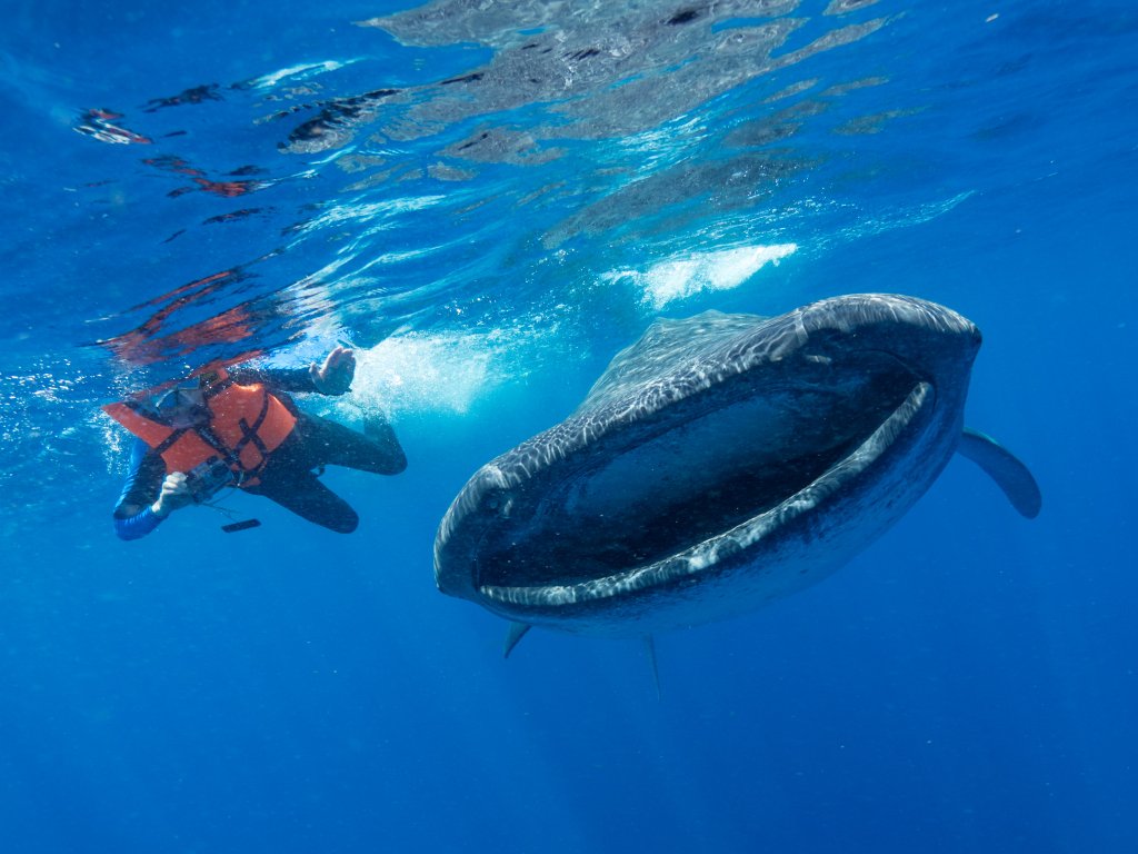 Gaia Journal On Twitter Microplastics Causing Macro Problems For