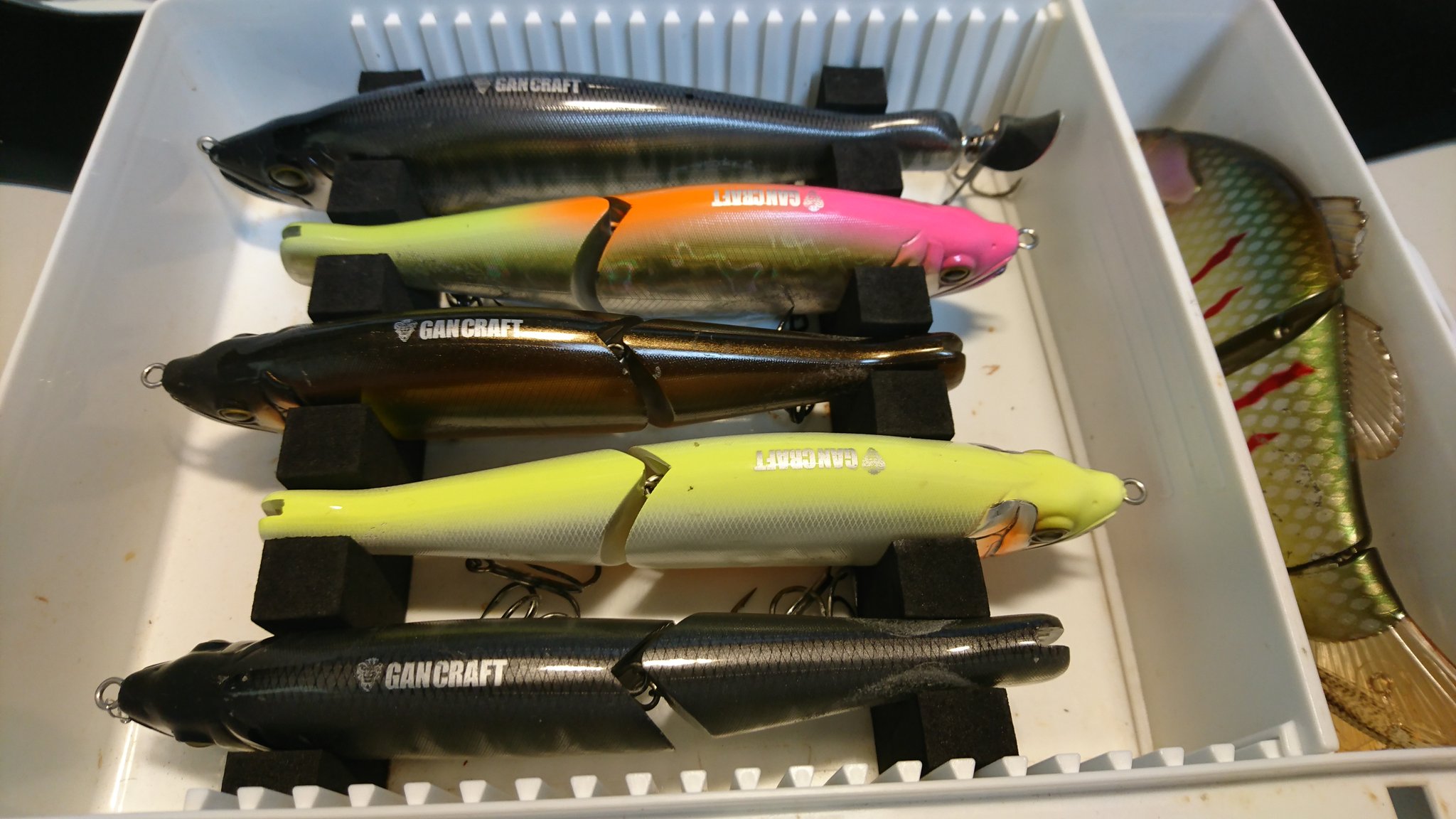 魚釣りと自然が好きなヤマモト シークレット ジョイクロもカイテンも178サイズが好きです テールは別ケースで保管して 釣り場で装着しています そろそろ出番です ガンクラフト ジョイクロ カイテン プリスポーン T Co Pyw0fvjnme Twitter 魚釣りと自然が好きなヤマモト シークレット ジョイクロもカイテンも178サイズが好きです テールは別ケースで保管して 釣り場で装着しています そろそろ出番です ガンクラフト ジョイクロ カイテン プリスポーン T Co Pyw0fvjnme Twitter