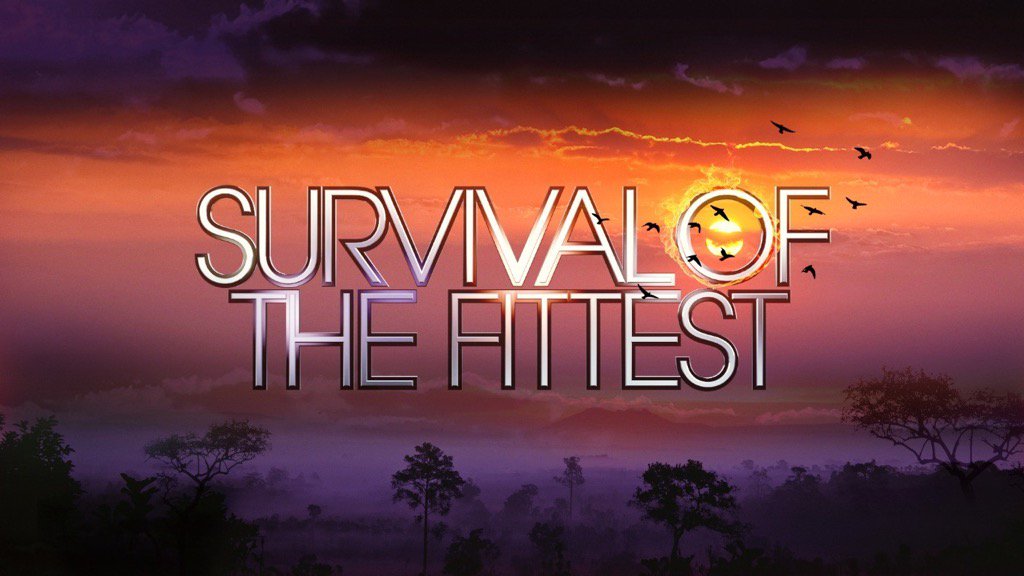 Force 1 Management (@force1mgmt) on Twitter photo Make sure you all watch the new @ITV2 show - Survival of the Fittest at 9pm <a href="/ITV2Fittest/">Survival of the Fittest</a> Make sure you all watch the new @ITV2 show - Survival of the Fittest at 9pm <a href="/ITV2Fittest/">Survival of the Fittest</a>