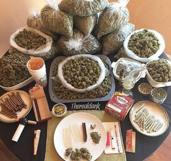 GanjaLoverss's tweet photo. My type of buffet, tag some one you would blaze this with 🌿🐉
#WEEDSTOCKS #CannabisCommunity #GanjarKeselekEKTP #WEEDS #wakeandbake #WEEDS #canabis #Weedenergy #drugs https://t.co/7I1yStqUq8