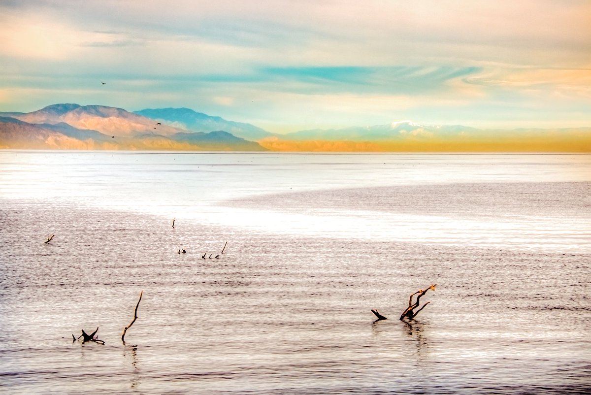 DABNAB1's tweet photo. Looking across the Salton Sea #SaltonSea #Salton_sea #pastel #landscape #water, #Nikonphotography  #NickonUSA #PickoftheDay #photograpahy #serene #California #travel #adventure #Sonoron_desert #desert #seallevel https://t.co/LDp7zrtawE