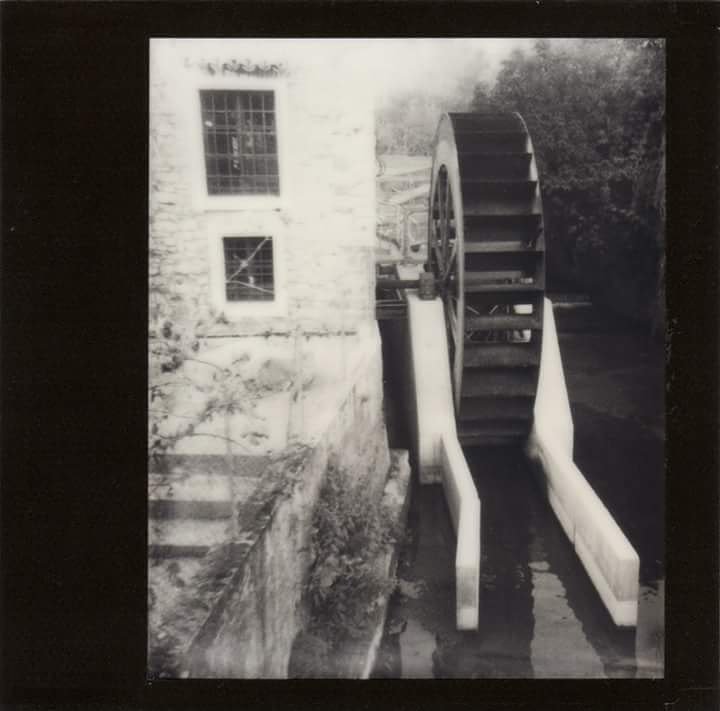 offIstantanea's tweet image. Profumi di campagna...❤

#profumidicampagna #mulino #mulini #campagna #mill #watermill #mulinoadacqua #countryside #italy❤️ #photography #photo #instantphoto #officinaistantaea #blackandwhite #blackframe #spectra #spectraimage #fotografiainstantanea #passioni #lavoro