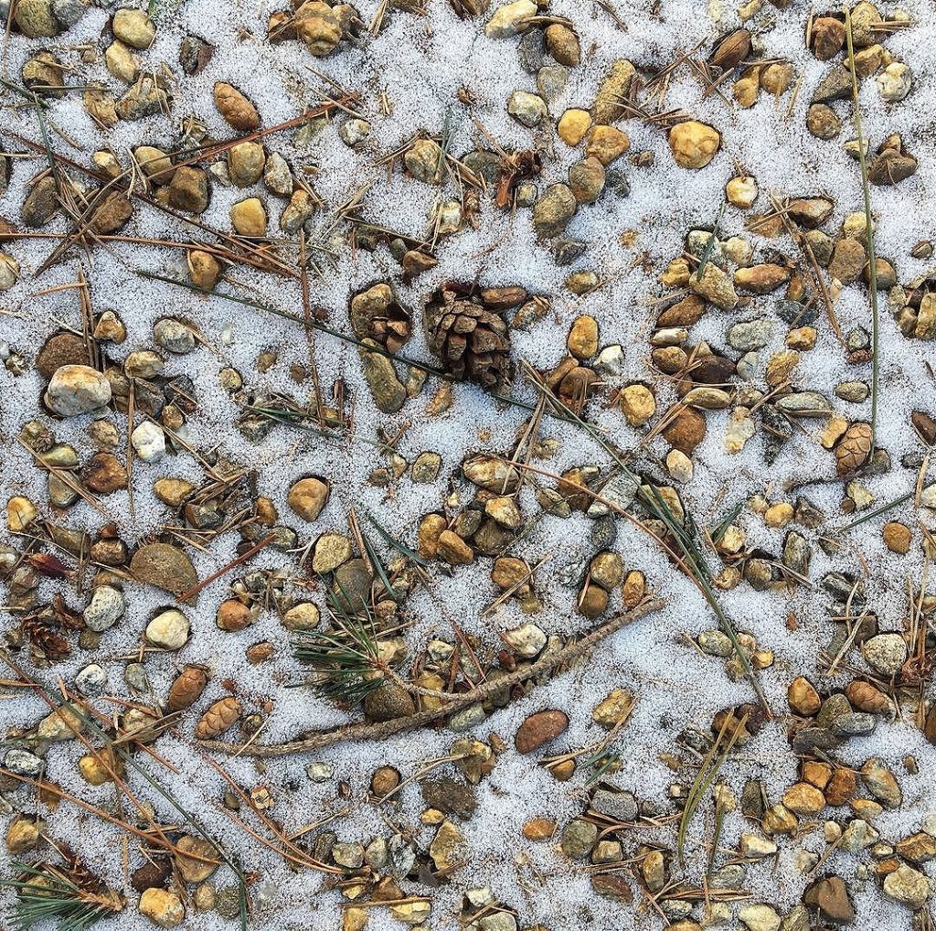 mike_truman's tweet image. I really just like hanging out with you! #stonesthrowaway #siblingsecurity #saywhatyoumeantosay #onlyatcafemartin matowninfo.com/newton/buyers-…