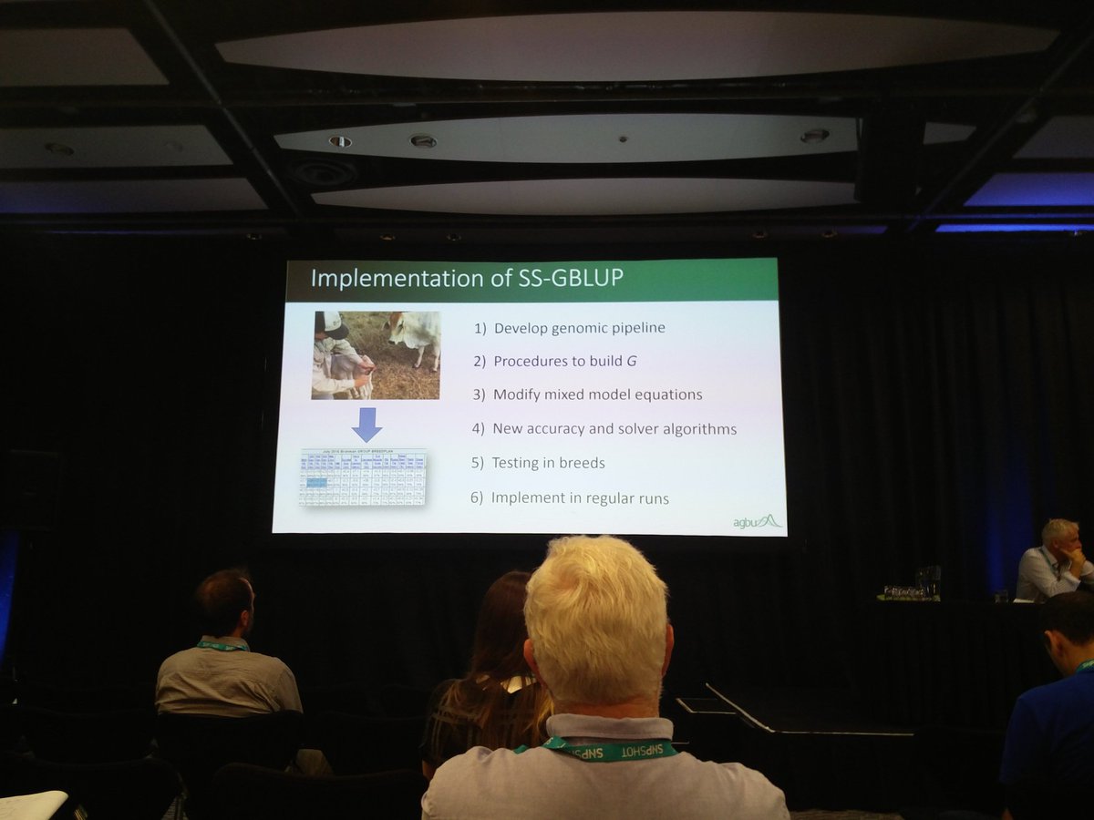 Pipeline to implement SS-GBLUP for Australian cattle evaluations @AGBU_GENE @breedplan #WCGALP2018 #WCGALP
