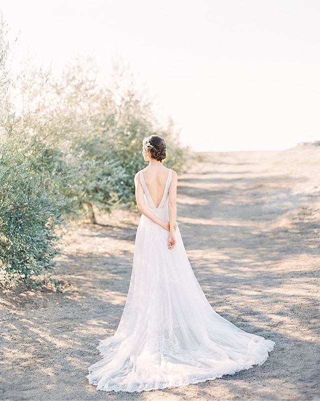 RichardPhotoLab's tweet photo. A timeless beauty ( with that warm #californialight ) by @dearloversphoto to wrap up the weekend.
.
.
.
#richardphotolab #filmlab #filmscan #analog #analogphotography #keepfilmalive #prophotolab #profilmlab #filmshooters #californialight #californialightonfilm https://t.co/8WG2JBwQRE
