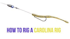JWoutdoors1's tweet image. Carolina Rig Secrets jwillisoutdoors.com/2018/02/caroli…