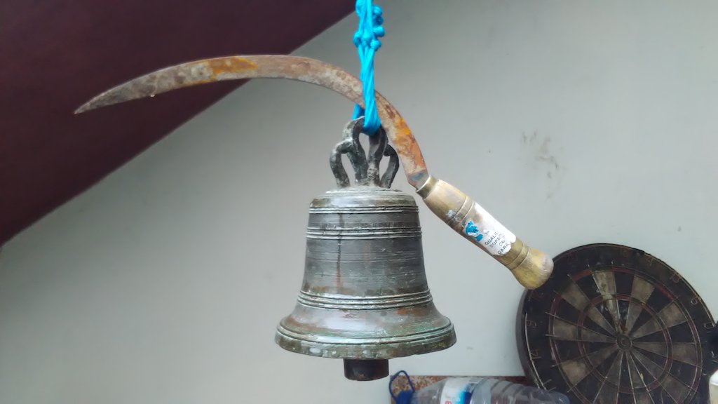 pordentro tweet media