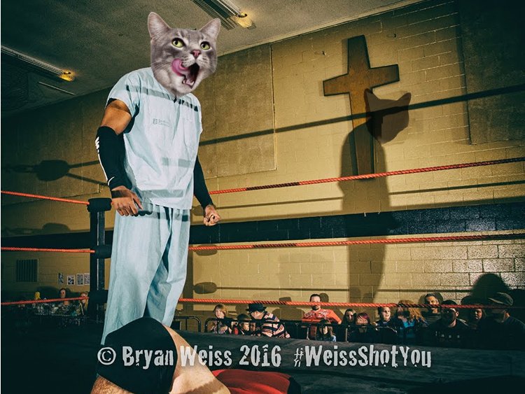 ryannoble66's tweet photo. Probably the last event @BarrieWrestling will let me be a part of.. 🙄 https://t.co/mEN26cgYjh