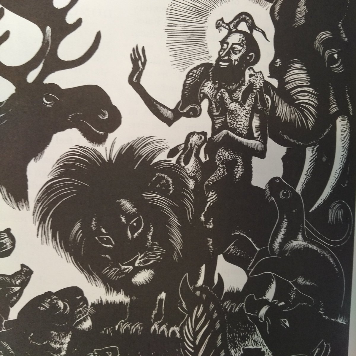 GONTEEKWA's tweet photo. St. Francis in the jungle. #AmResearching #AmWriting #TWOTGITM https://t.co/fyD49WSpdZ