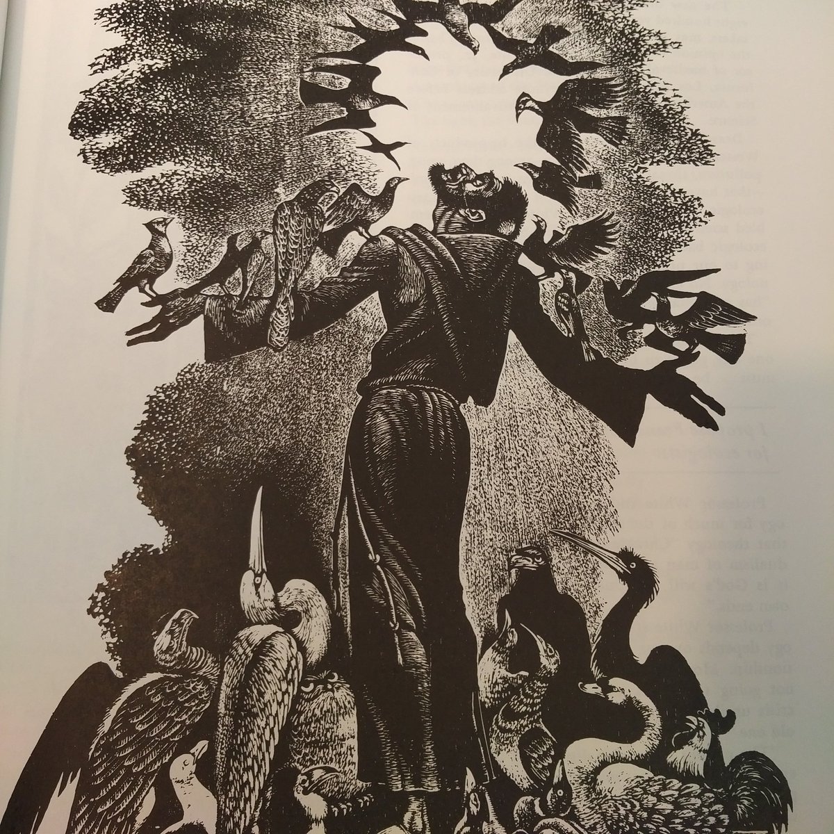 GONTEEKWA's tweet photo. St. Francis and the birds. #AmResearching #AmWriting #TWOTGITM https://t.co/i7QSiKt2pM