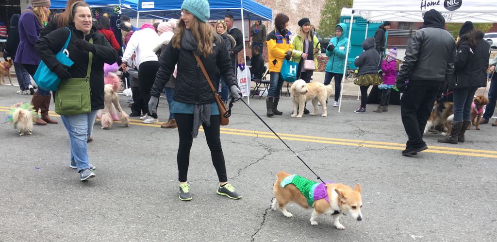 Creative Corridor LR tweet media