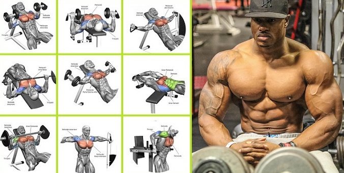 Global Gym Faisalabad on X: How to Get a Bigger Chest – 7 Easy