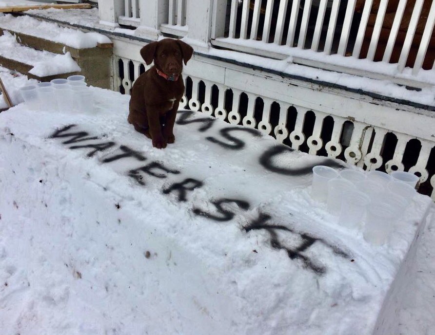 Msuwaterski's tweet photo. @BlackSheep_MSU @MSUWakeClub ... but do they have a puppy? 😏🌊🤷🏼‍♀️ https://t.co/naOS5W7Ok8