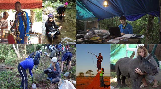 Society4ConBio's tweet photo. SCB is made up of 4,000 conservationists from more than 140 countries! Join the community and help us work to conserve biodiversity: https://t.co/L8H7cR9XYc #biodiversity https://t.co/3LndzIDzA9