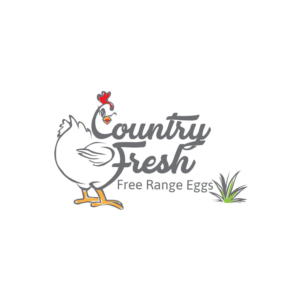 FMSTUDIOS_'s tweet photo. #LogoDesign for COUNTRY FRESH #FreeRangeEggs #Rockhampton #Logo #LogoDesigner #LogoDesigns #LogoInspiration #Branding https://t.co/VGXgn29YDA