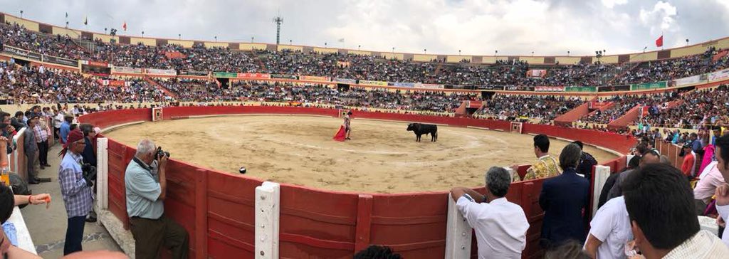 HoyEnMerida's tweet image. RT @jujoguem Gobernacion de Mérida y #Coremer darán cumplimiento a las obligaciones contractuales suscritas frente a @RamguertauroV
Recibimos con humildad esta decisión y seguiremos trabajando como lo estamos haciendo para la FIS2019 merida lo merece!