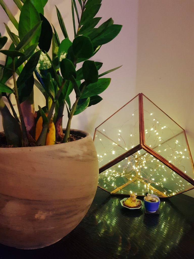 a desk in my room has a plant and a glass container with fairy lights. next to it are 2 gudetamas. one in an omelette and one in ramen.