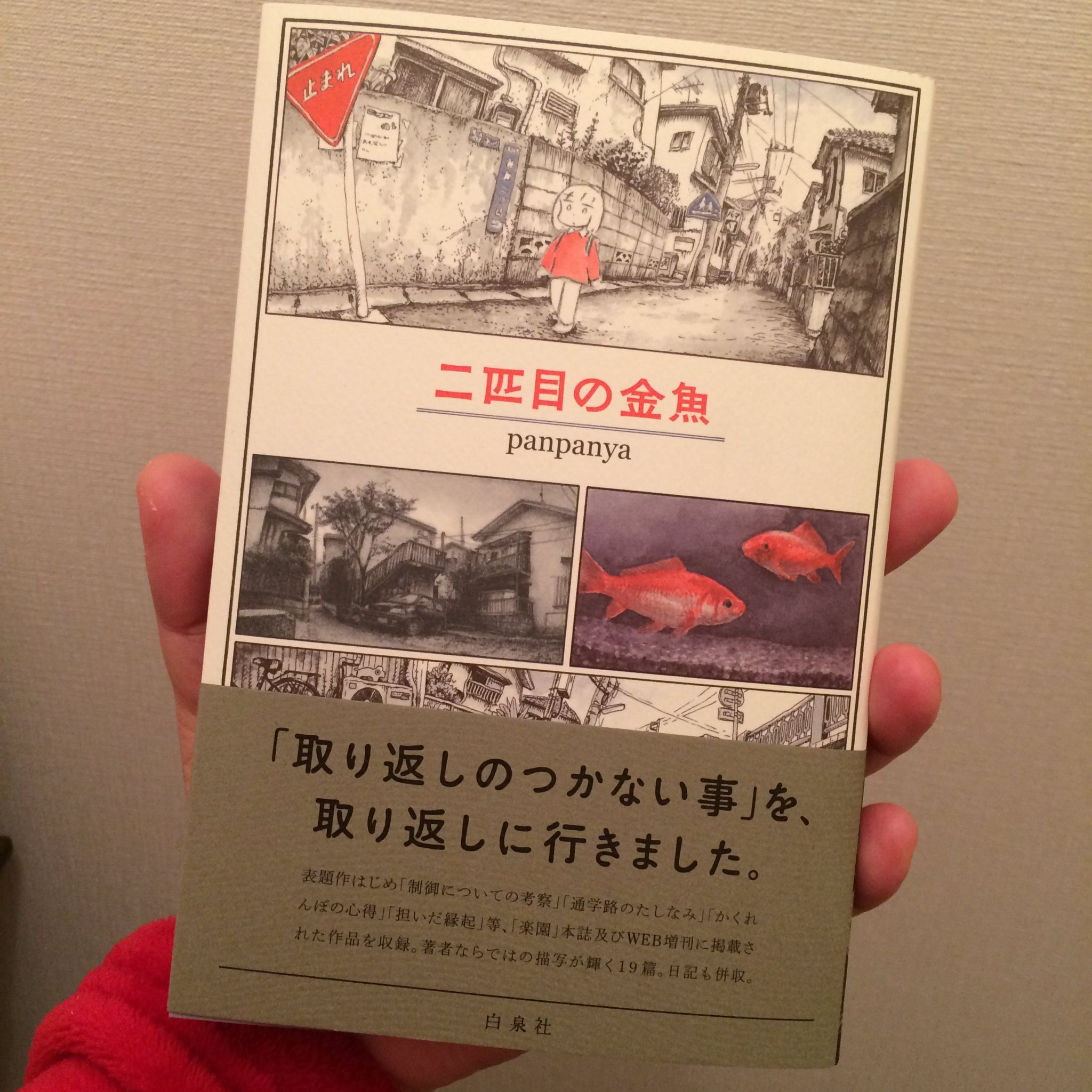 てんぐアート 年末モダンソフビでます 二匹目の金魚 Panpanya とても良い作家さんに出会った 過去作も買わねば 浮遊感と空気感が気持ちよく ワクワクする 装丁も美しい カバー裏までステキ Panpanya 二匹目の金魚 T Co V0ru001f5x