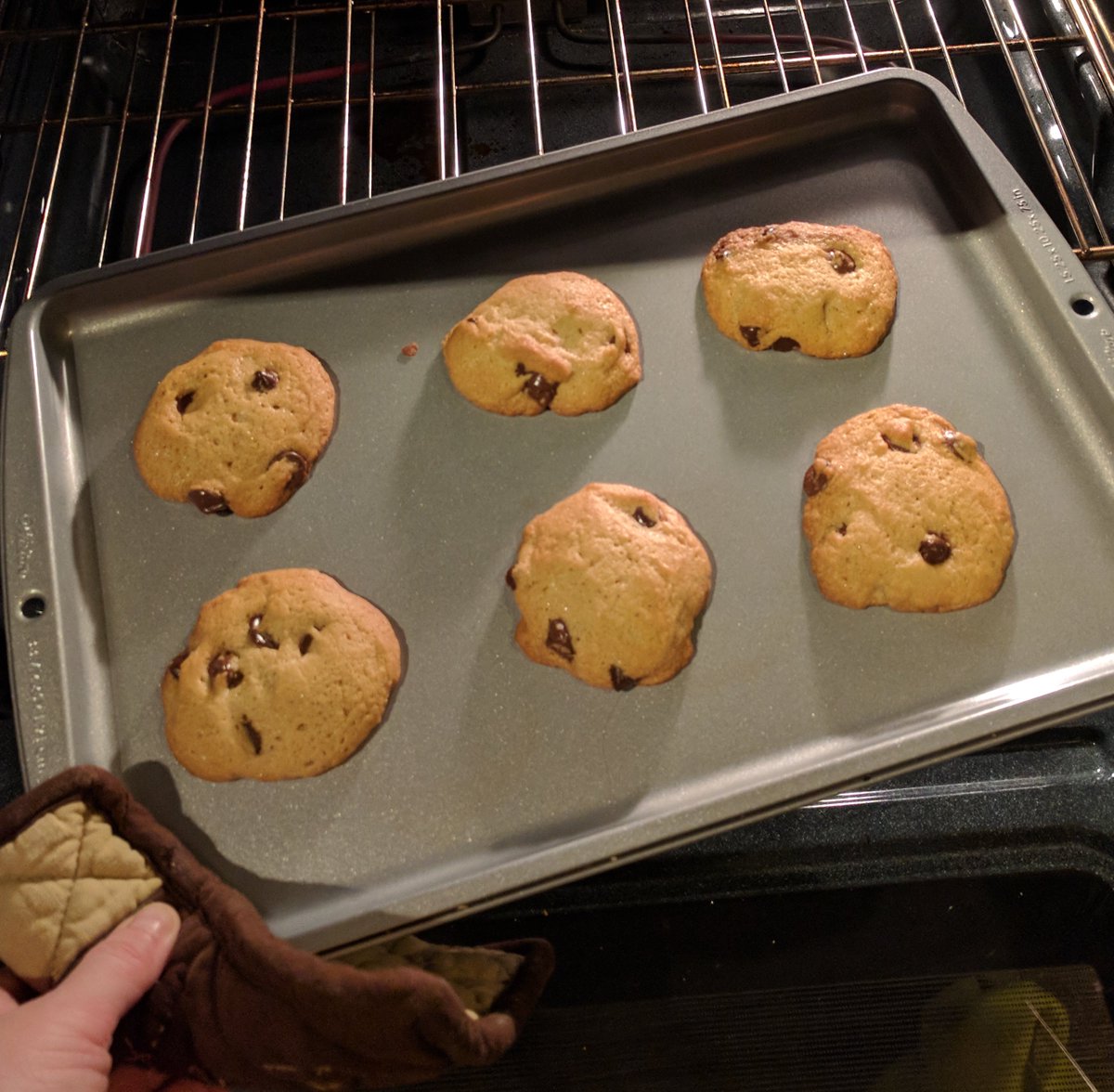 adriennefriend's tweet photo. Back in my quiet little Nashville studio post- #PyTN2018, wondering when my post-conf depression is going to set in (or if it already has). At least I have cookies. ❤️ 🍪 https://t.co/tyMUkkBv8h