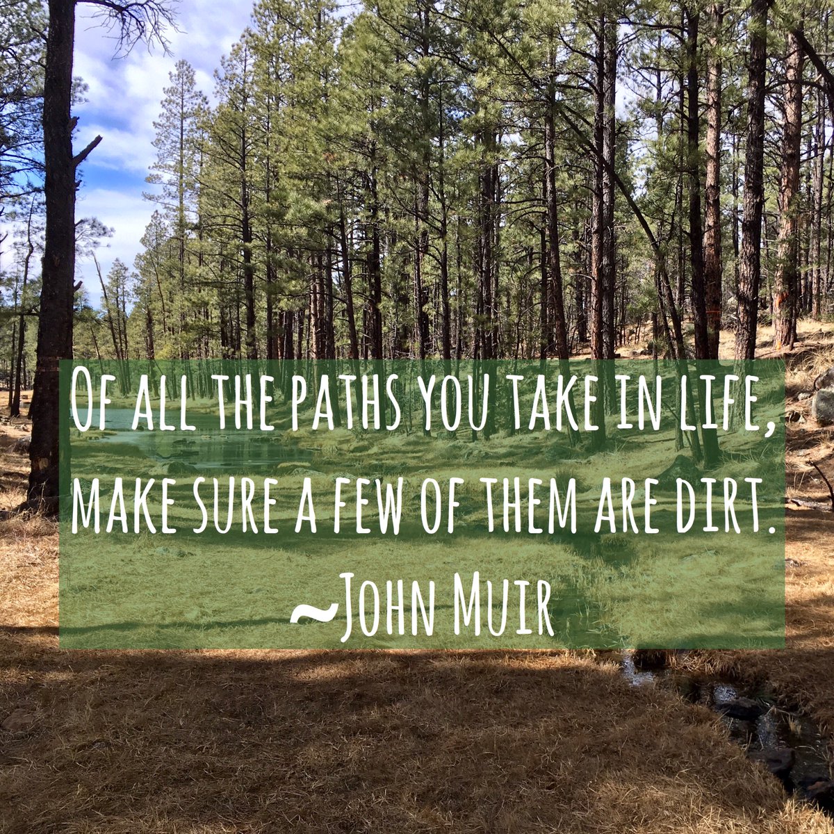 Great day for a hike among the white pines. Spring Trail Trailhead, 101 Sky Hill Road, Pinetop, AZ 85935. A pretty, level, 3.4 mile loop. Add it to your list!  #greenliving #ecolifestyle #sustainability #environment #nature #azhikes #optoutdoors #reducereuserecycle