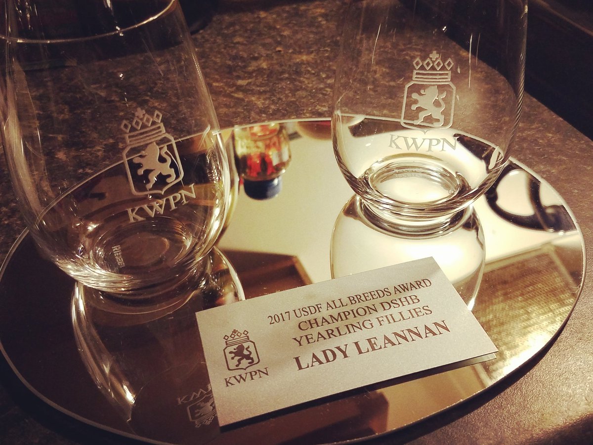 LadyleannanFPF's tweet photo. Thank you @KwpnNa for the awesome swag! My baby Lady Leannàn was the 2017 Champion Dutch Warmblood Yearling Filly! #DutchWarmblood #Warmblood #Horse #Love #ILove #KWPNNA #IfItAintDutchItAintMuch #Horses #AngelBaby #TankBaby #Pretty #Beautiful #MyBaby https://t.co/GtyCAOKxWn