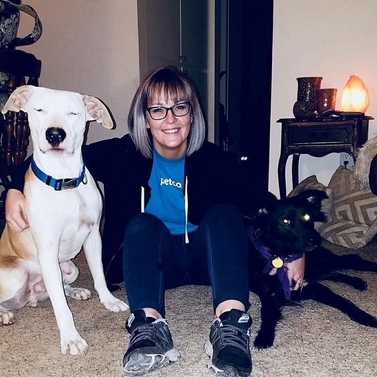 K9Drc's tweet photo. Milo I'm his new home with Jonathon and Ashley and Charoltte the other fur baby. Thanks for choosing us and to rescue!! https://t.co/jIjMjTIjiS