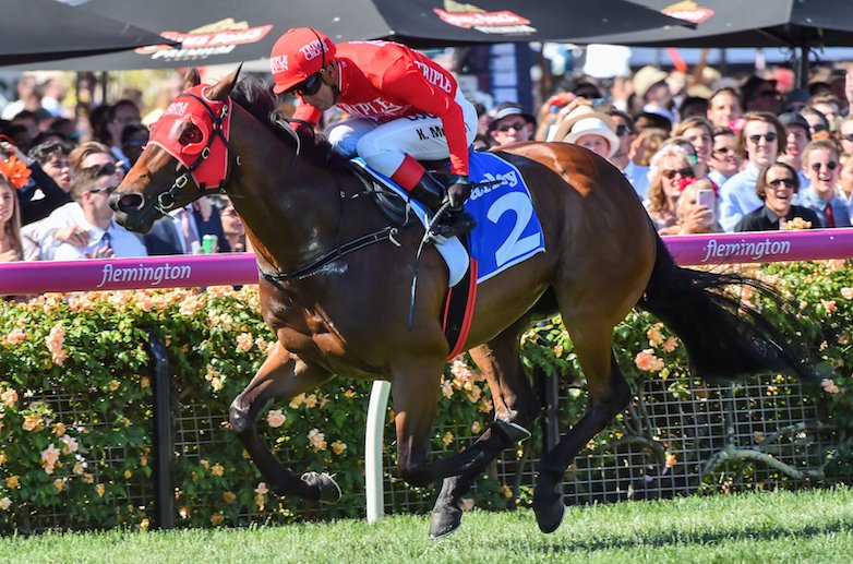 Punters's tweet image. Can't wait to watch this rocket of a thoroughbred fly down the straight on Saturday 🚀 #Redzel