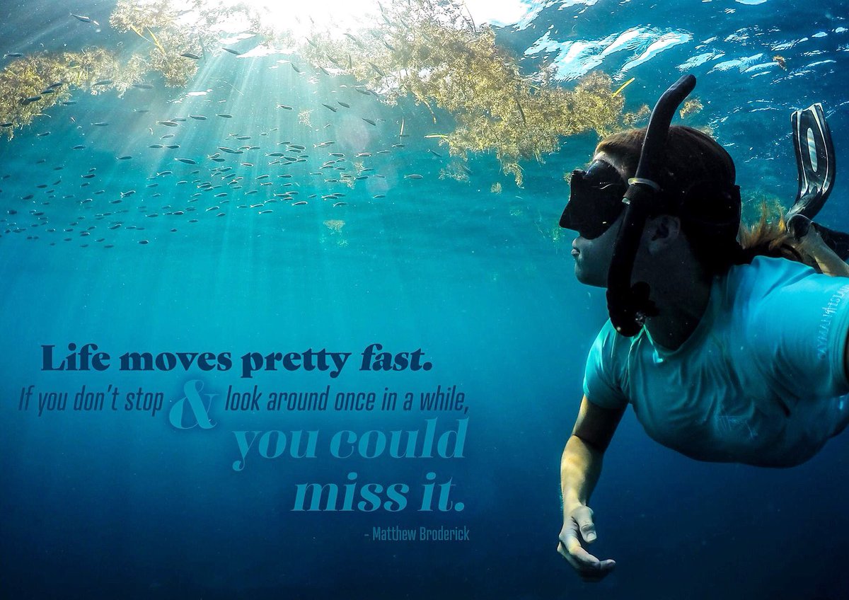 Guy Harvey tweet media