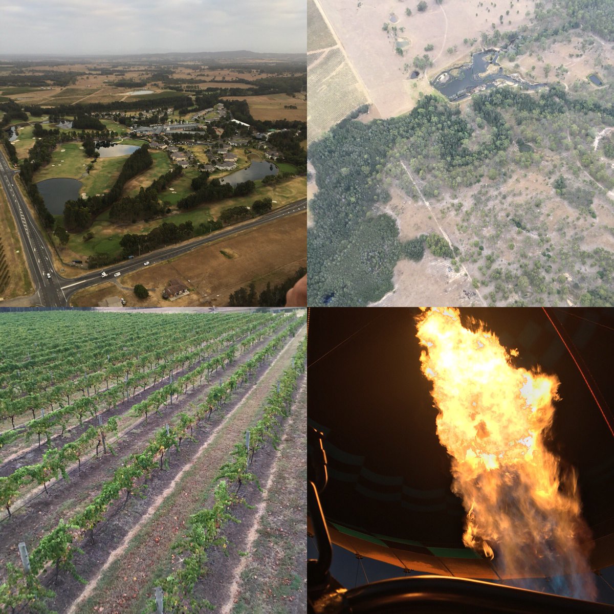 kathbart's tweet photo. Hunter valley, Australia. Hot Air Ballooning, superb! https://t.co/Q10hCIPuPV