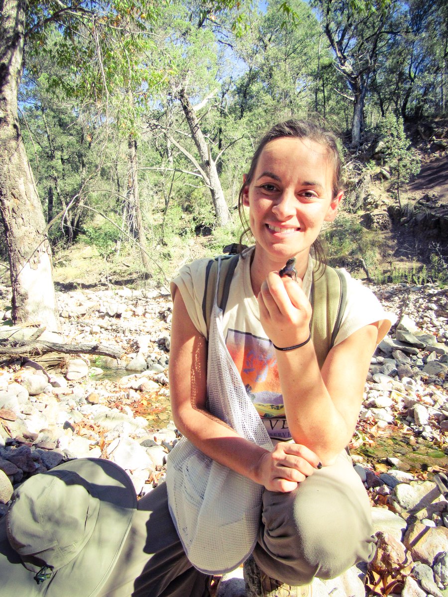 neuroStephtide's tweet photo. #FemFieldPhoto in the Chiricahua Mountains mentoring engineering undergrads and studying #Sceloporus #behavior #chemicalsignals #lizards #WomenInSTEM https://t.co/ssKB9fguMB