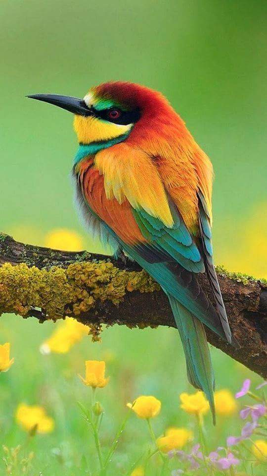 alvarofb23's tweet photo. Good morning Twitterworld. https://t.co/hMINg2JlE7