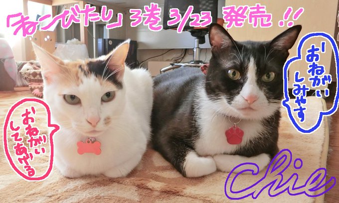 新久千映 Chiezoooou 18年02月 Twilog