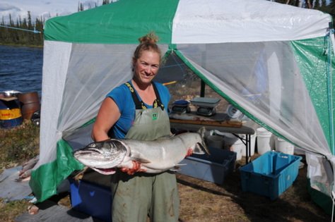 CSEE_SCEE's tweet photo. @LouiseChavarie’s research interests lie at the interface of fish ecology, Arctic ecology, and ecological speciation https://t.co/K7ipldRoII #UBC #CanadianWomenInScience https://t.co/AymI0FkQpG