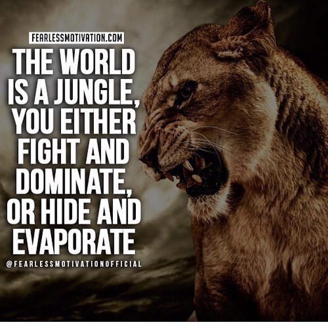 ZeBancairo's tweet photo. #Keep #Fighthing and #MakeItSuccess 😊😊 Happy Great Week ahead everyone 😊😀😎 https://t.co/xgZzOPAU32