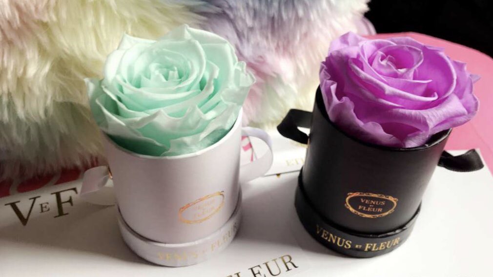 Venus Et Fleur Discount Code - All You Need Infos