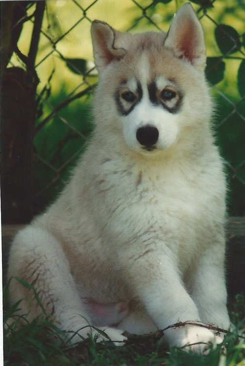#BestatHomeContest