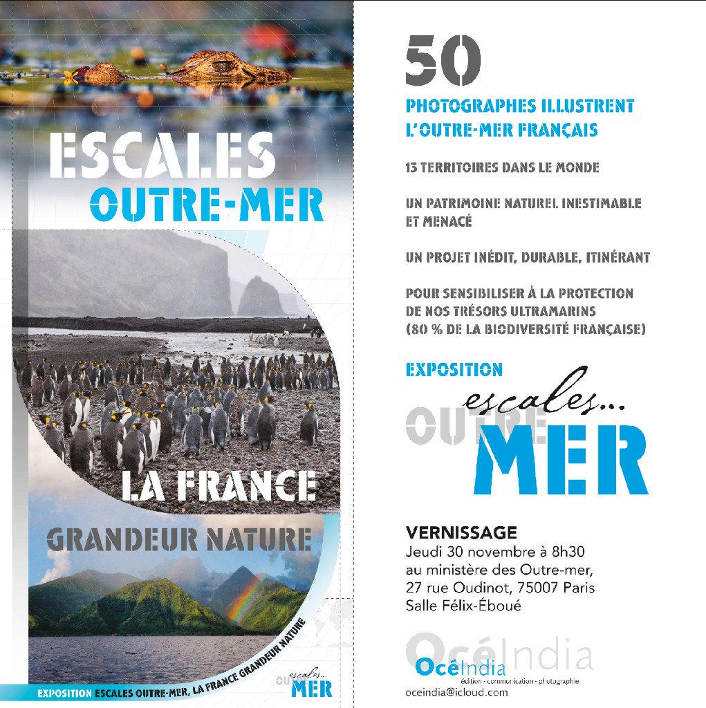 afbiodiversite.fr/fr/actualites/…
L'exposition "#Escales #Outremer / la France grandeur Nature" sur la #biodiversité bientôt à #LaReunion. Et déjà visible en ligne.