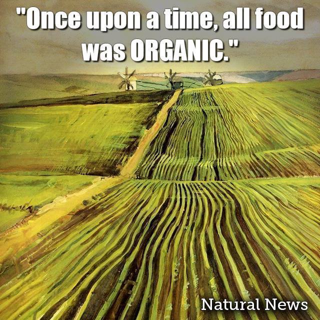 OMIC2019's tweet image. 