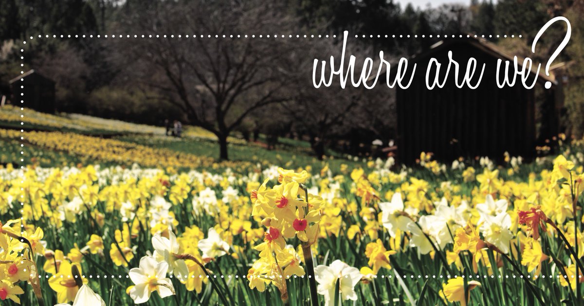 And now for ... #MondayFunday. Can you guess where we are?