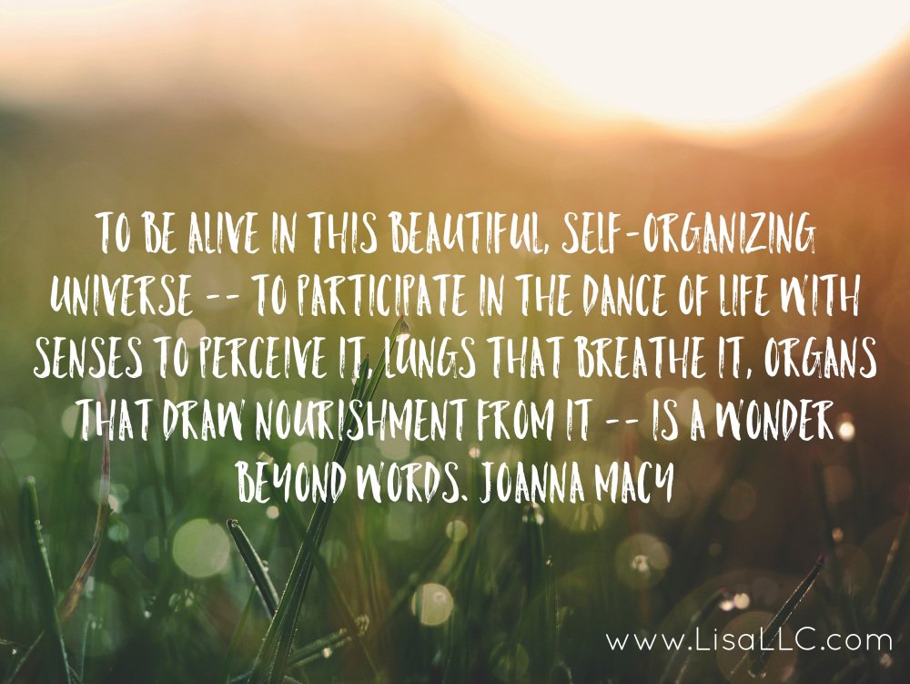 Breathe in, breathe out. You're here, right now.