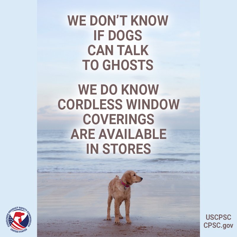 A lone dog stands on a beach. The text above them reads, "We don't know if dogs can talk to ghosts. We do know cordless window coverings are available in stores."