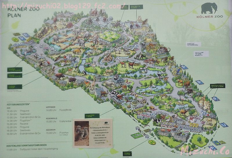 蛟 みずち على تويتر ケルン動物園のマップ 動物のイラストでどこにどの動物がいるのかわかりやすいです 1日で全部回るのは無理 早足でさっくりなら回れるかも 水族館もあります 2 17撮影 ドイツ ケルン動物園 Kolnerzoo 蛟 みずち على تويتر ケルン動物園のマップ 動物のイラストでどこにどの動物がいるのかわかりやすいです 1日で全部回るのは無理 早足でさっくりなら回れるかも 水族館もあります 2 17撮影 ドイツ ケルン動物園 Kolnerzoo