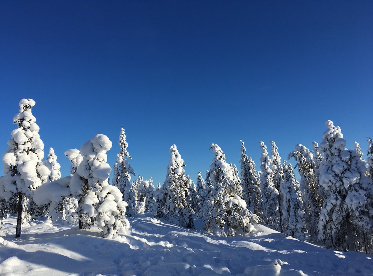 Talven ihmemaan maisemissa murheet katoaa ❄️☀️❄️

#Rovaniemi #Ounasvaara #visitrovaniemi #visitlapland #talvenihmaa #WinterWonderland