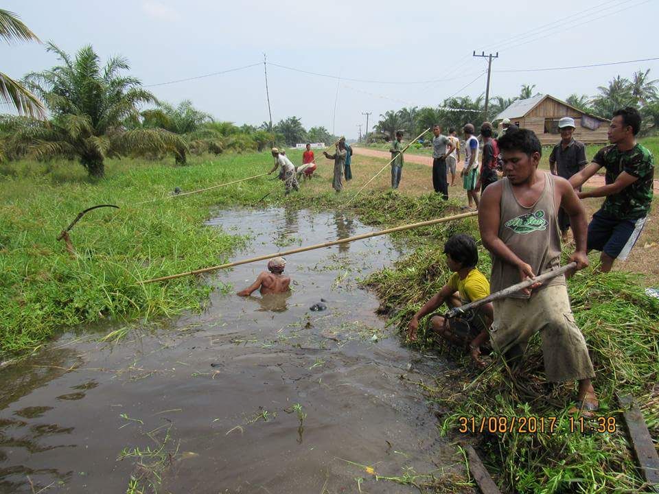 donloho1's tweet image. 2017 di Kabupaten labuhanbatu sudah dilaksanakan Sistem Kerja PKT.. tapi tidak 30 %... @EkoSandjojo @jokowi @KemenDesa @DirjenPPMD