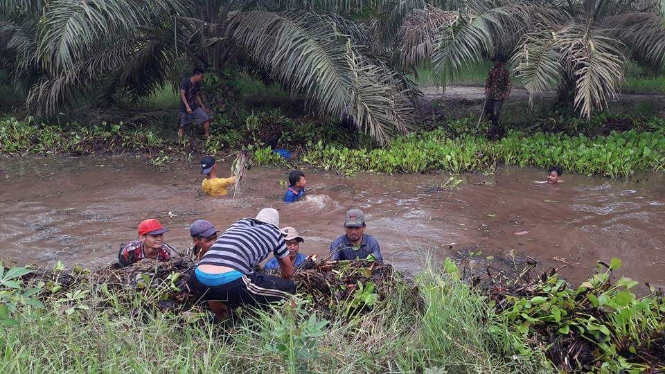 donloho1's tweet image. 2017 di Kabupaten labuhanbatu sudah dilaksanakan Sistem Kerja PKT.. tapi tidak 30 %... @EkoSandjojo @jokowi @KemenDesa @DirjenPPMD