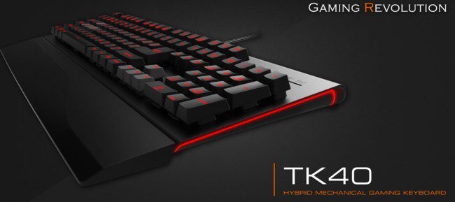 ThunderX3Russia's tweet photo. Гибридная клавиатура ThunderX3 TK40 - это отличная игровая клавиатура с максимум возможностей:

1) лучшие качества от механики и мембраны в плане работы переключателей

Купить со скидкой 40% по промокоду LOVE40 - https://t.co/GfqdBeqb9N

#thunderx3 https://t.co/ftBj4LjvtY