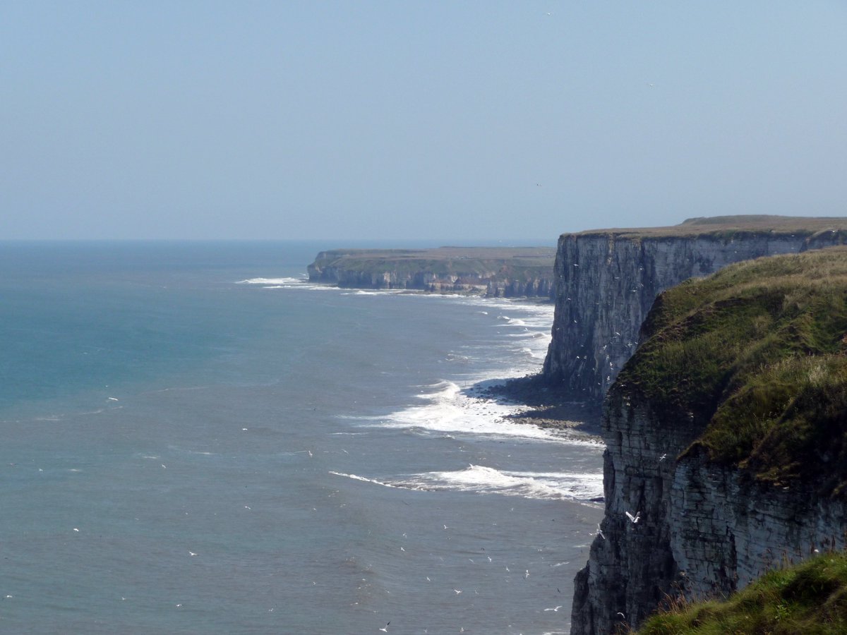 bridadvertiser's tweet photo. Man's body found at bottom of Bempton Cliffs. #Bridlington #BemptonCliffs
https://t.co/aXXwK63CSC https://t.co/kd0BiMhhrL
