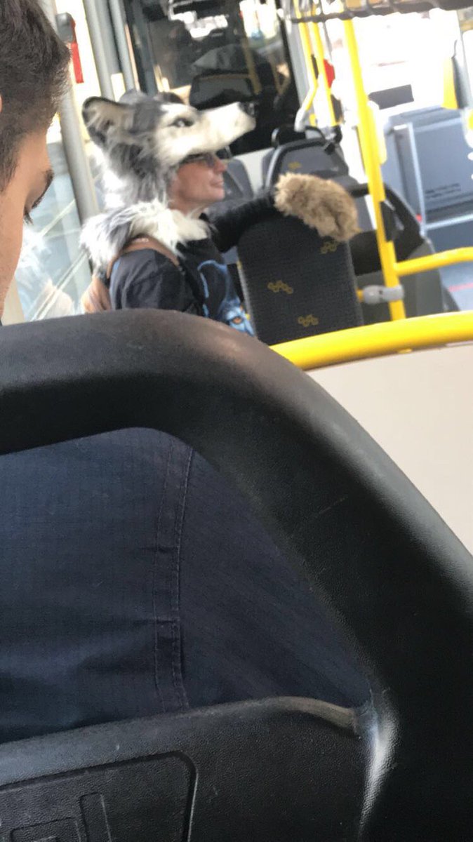En Marc wa wilt gij later worden? 🐺🐺🐺 (@ Halte Laarbekestaat - <a href="/delijn/">De Lijn</a> in Merksem, Antwerp) swarmapp.com/c/f6BqClrSCHe
