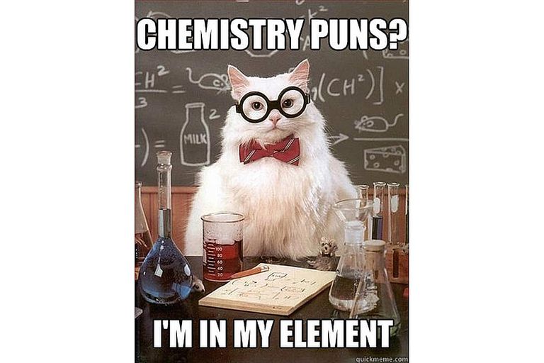 ScarabGenomics's tweet photo. #Mondaymotivation #sciencefunny #workhardplayhard https://t.co/bcJAhgBJa6