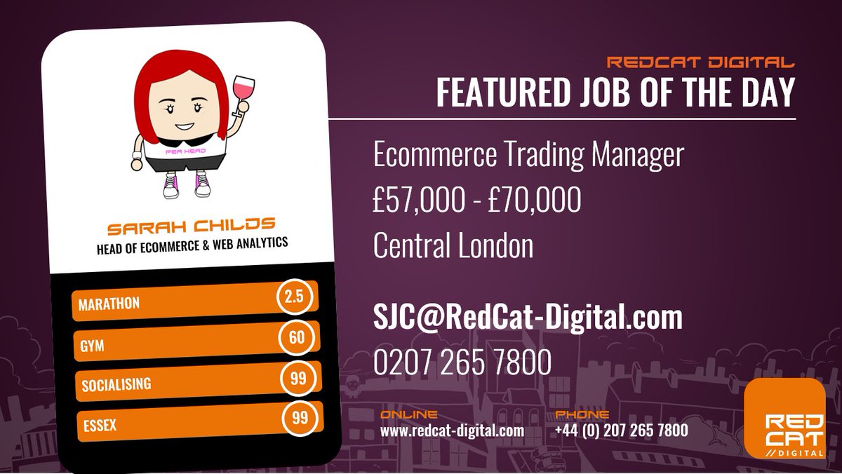 RedCat Digital tweet media